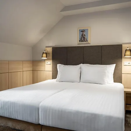 Wellton Centrum Hotel&spa Hotel